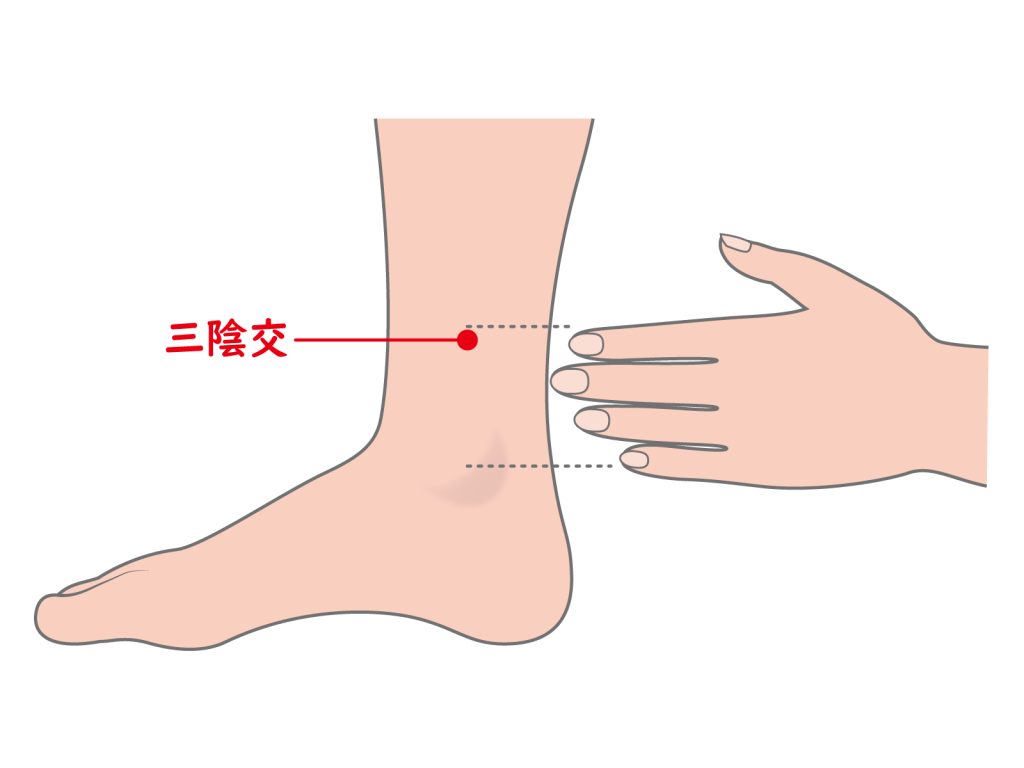 三陰交画像