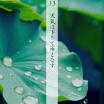 13天氣下為雨(1)