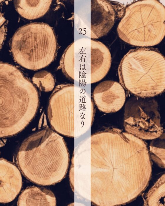 25左右者陰陽之道路也 (1)